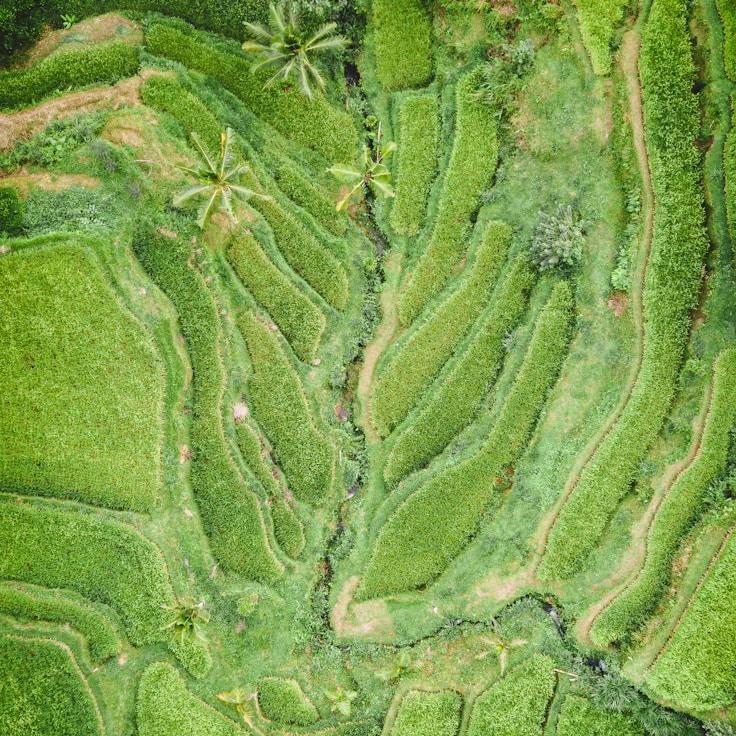 Kids playground area in Canada
